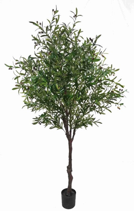 KP5021 PLANTA DE OLIVO CON FRUTO 220 CM