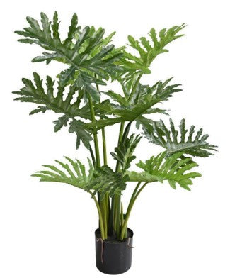 KP5026 PLANTA PHILODENDRON 110 CM