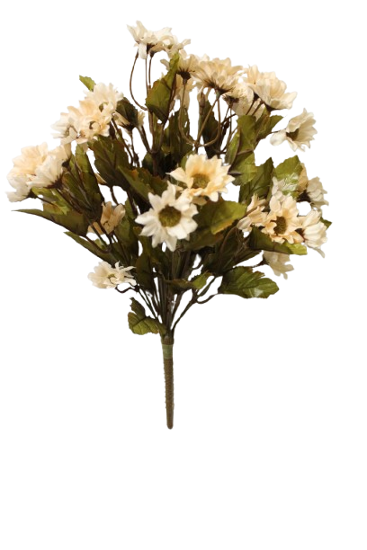 Buquet Deysy x 11