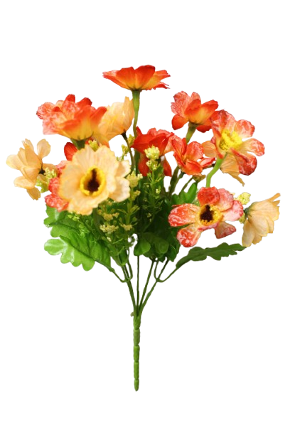 Buquet Deysy Galaxia x 5