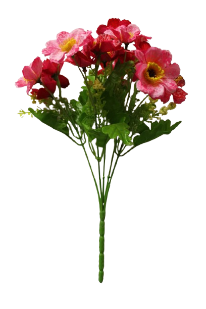 Buquet Deysy Galaxia x 5