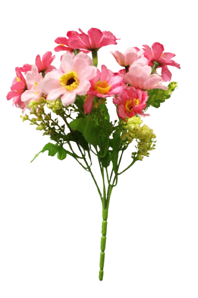 Buquet Deysy Galaxia x 5