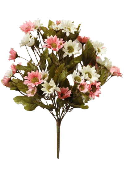 Buquet Deysy x 11