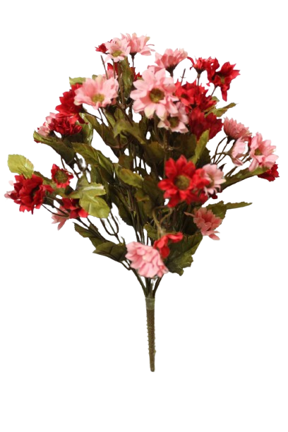 ANO12018 RAMO DE DEYSY X11