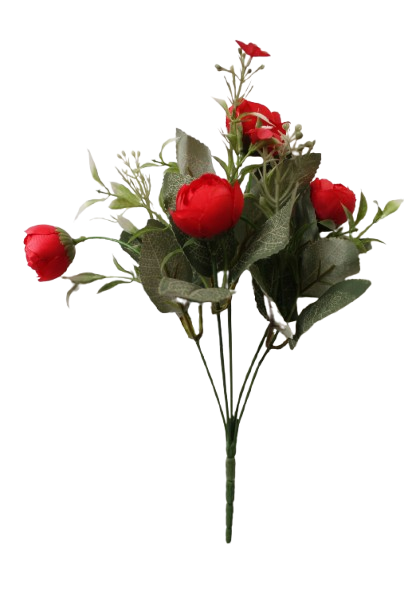 Buquet Peony x 5