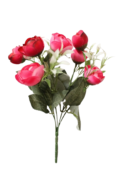Buquet Peony x 5