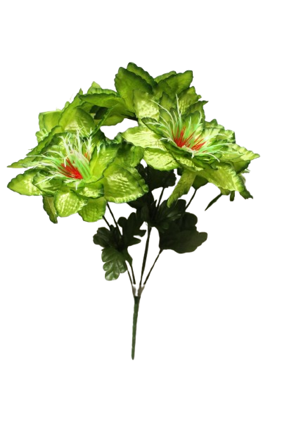 Ramo Dalia Lotus x 5