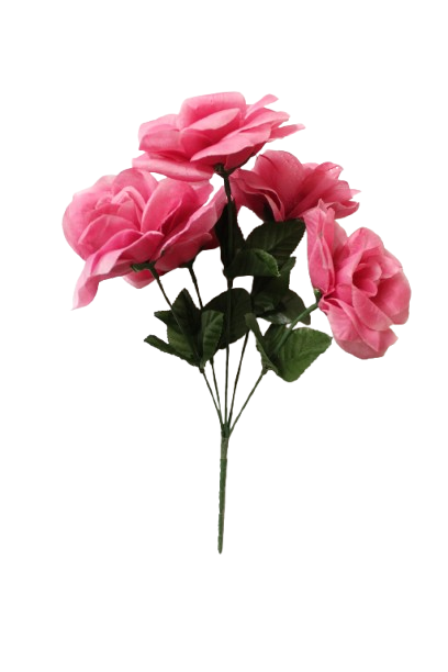Ramo Rosa x 5