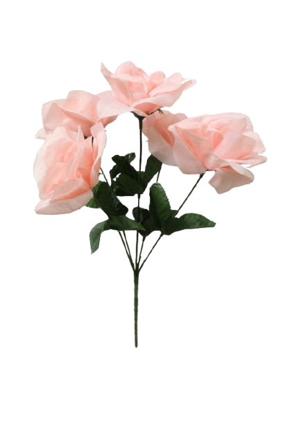 Ramo Rosa x 5