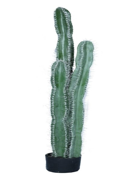 KP5002 CACTUS 155 CM