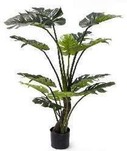 KP5003 PLANTA MONSTERA 145 CM