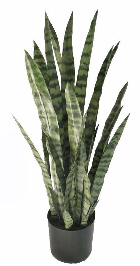 KP5006  PLANTA WAKO O LENGUA DE SUEGRA 92 CM