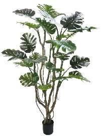 KP5004 PLANTA MONSTERA  200CM