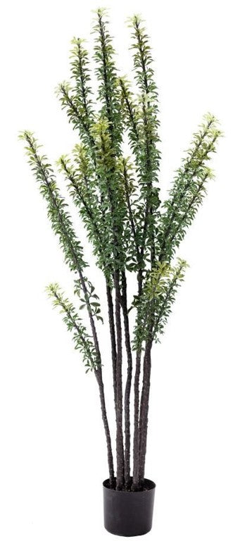 KP5009 PLANTA DEL DECIERTO 110 CM
