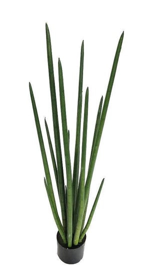 KP5011 PLANTA SANSAVIERA  125 CM