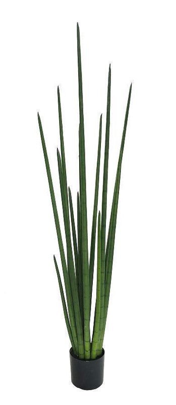 KP5012 PLANTA SANSAVIERA  180 CM