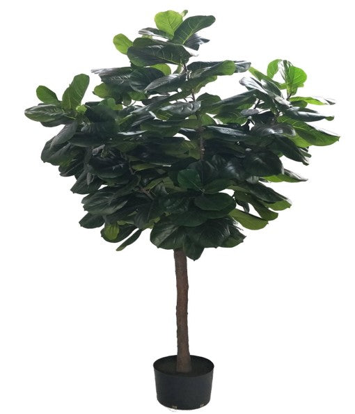 KP5015 PLANTA PANDURATA  300 CM 248 HOJAS JUMBO