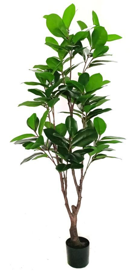 KP5019 PLANTA DE MAGNOLIA 150 CM
