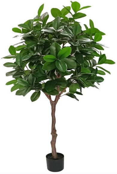 KP5020 PLANTA DE MAGNOLIA 240 CM