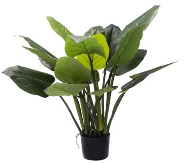 KP5022 PLANTA ALOCASIA  125 CM