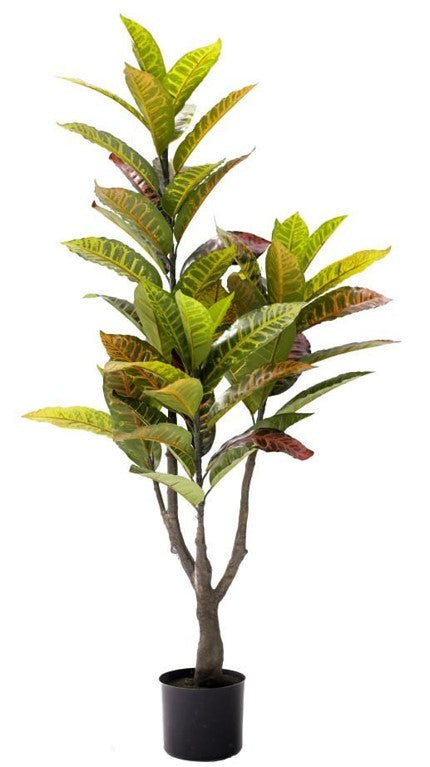 KP5024 PLANTA CROTO  125 CM