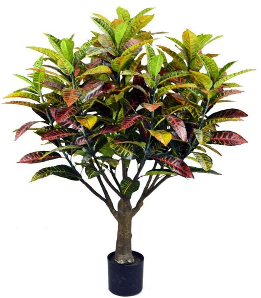KP5025 PLANTA CROTO  150 CM