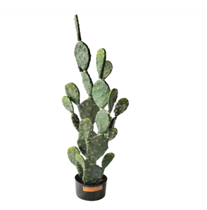 KP5030 PLANTA DE NOPAL 128 CM