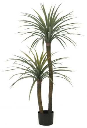 KP5031 ARBOL DE DRAGOM 150 CM APORX