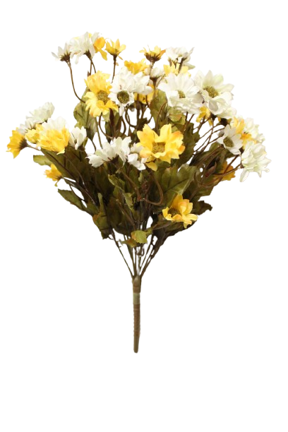 Buquet Deysy x 11