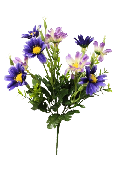 Buquet Deysy x 5