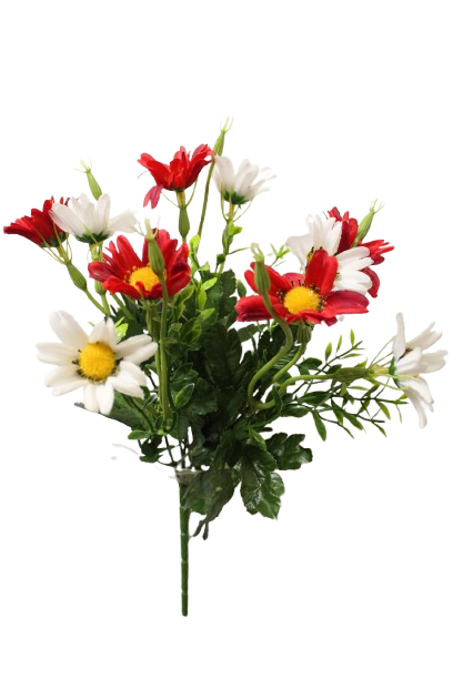 Buquet Deysy x 5