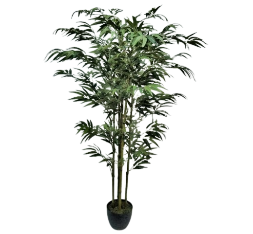 Planta Bambú 4 Tallos
