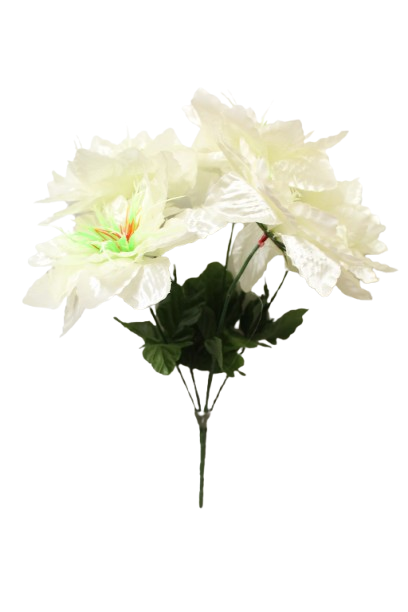 Ramo Dalia Lotus x 5