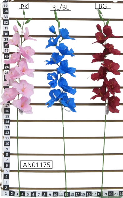 Vara Gladiola