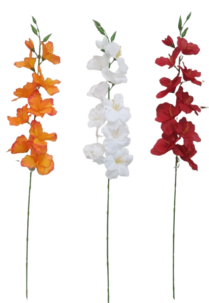 Vara Orquídea