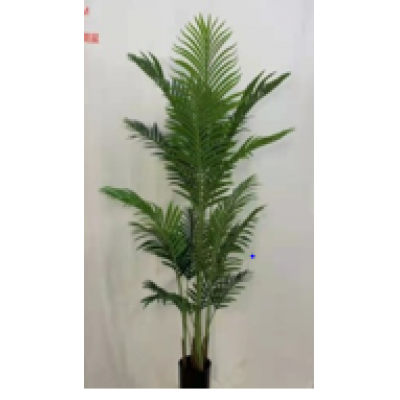 PALMA ARECA 160 CM 